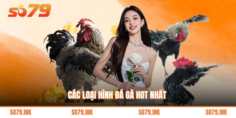 Các loại hình đá gà hot nhất 