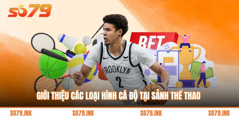 Giới thiệu các loại hình cá độ tại sảnh thể thao 