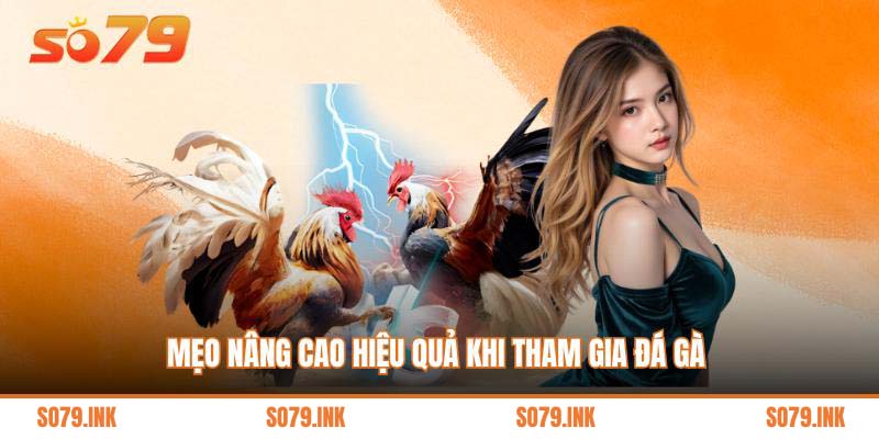 Mẹo nâng cao hiệu quả khi tham gia đá gà 